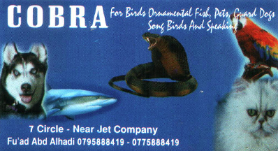 Cobra Pet Shop
