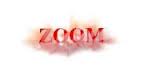 Zoom Wedding & Event Planner