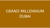 Grand Millennium Hotel