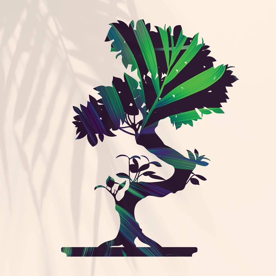 Bonsai Lounge Bonsai Lounge