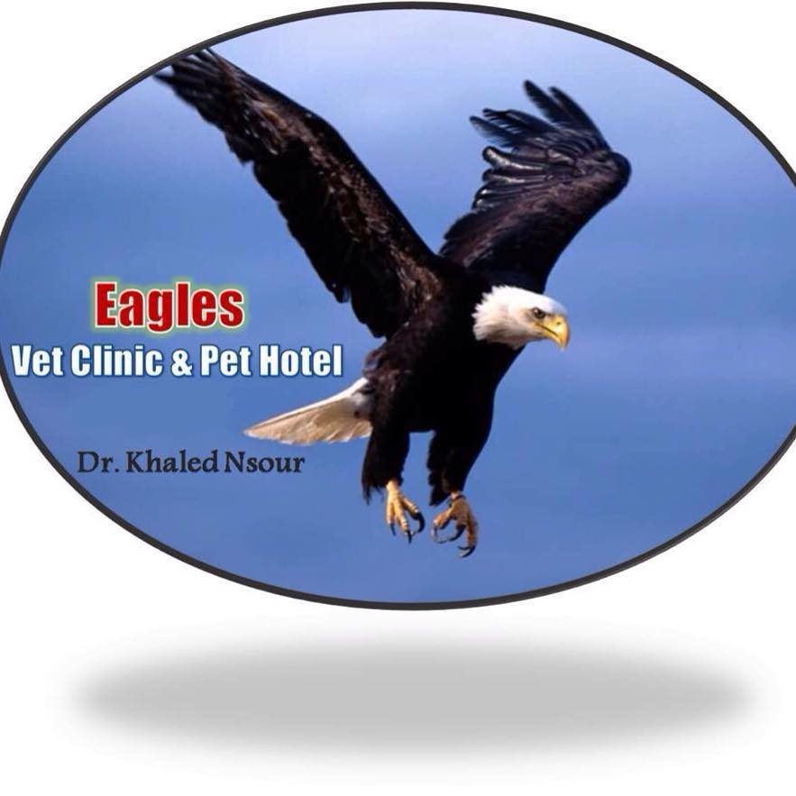 Eagles Vet Clinic and Pet Hotel